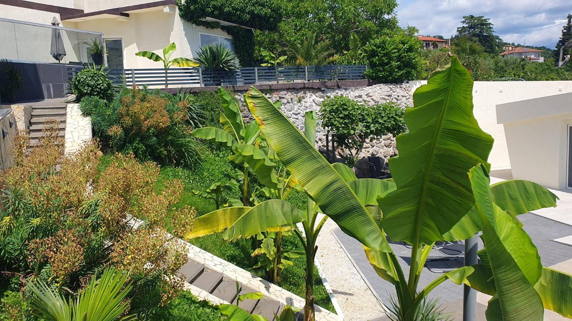 Penthouse Jacuzzi & Pool Apartmants Opatija Zewnętrze zdjęcie